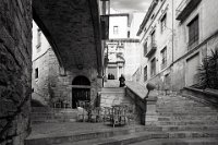 301 - SANT DOMENEC RISE - JULIAN NEGREDO - spain <div